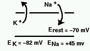 circuit