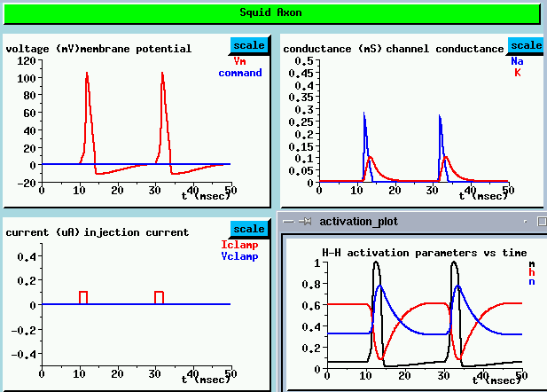 graph