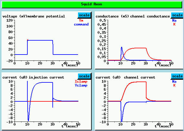 graph