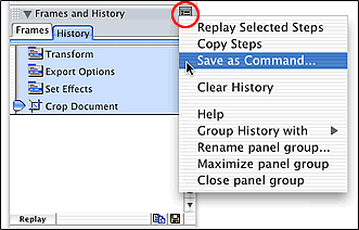 History panel with options