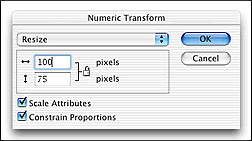 Numeric transform Dialog box