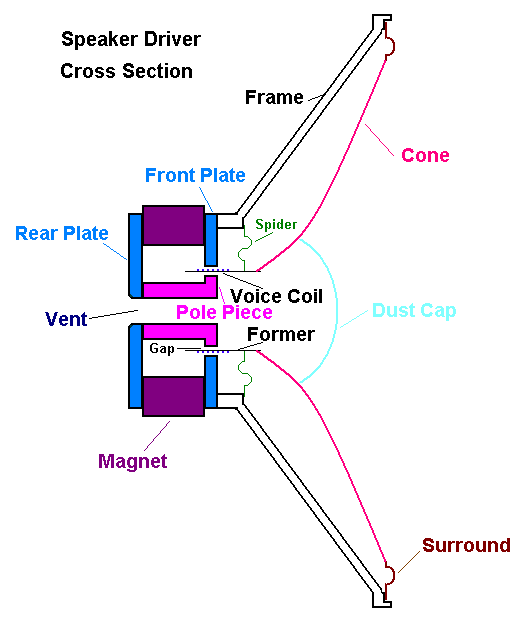 Speaker Driver Cross Section