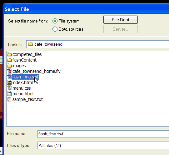 Inserting the Flash media file