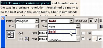 Selecting bold from the Styles pop-up menu