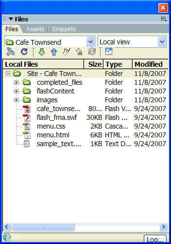 List of files in the Files panel.
