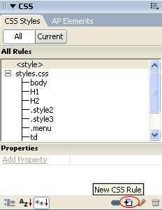 New CSS Rule